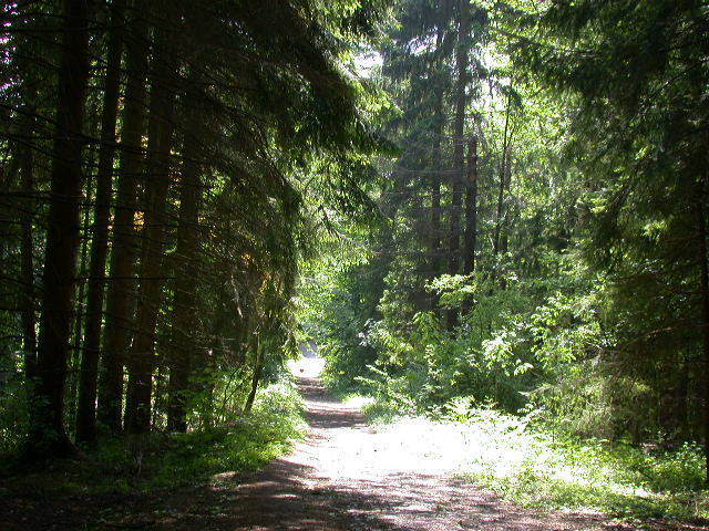 Uscita domenicale...